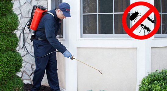 Poligon Sivrisinek İlaçlama böcek ilaçlama ve haşere kontrolü — ilaclama-tr.com